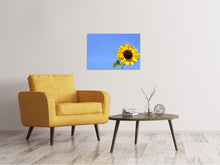 Load image into Gallery viewer, Canvas print Sunflower with blue sky
