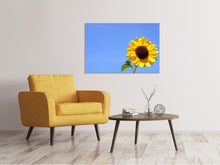 Load image into Gallery viewer, Canvas print Sunflower with blue sky

