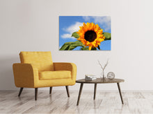 Load image into Gallery viewer, Canvas print Sunflower in bloom
