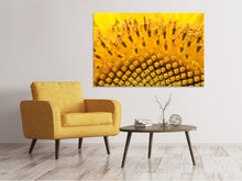 Load image into Gallery viewer, Canvas print The buds of the sunflower in XXL
