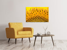 Load image into Gallery viewer, Canvas print The buds of the sunflower in XXL
