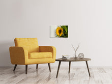 Load image into Gallery viewer, Canvas print Beautiful sunflower
