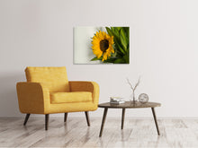 Load image into Gallery viewer, Canvas print Beautiful sunflower
