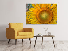 Load image into Gallery viewer, Canvas print Inflorescence of a sunflower
