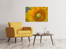 Load image into Gallery viewer, Canvas print Inflorescence of a sunflower
