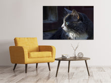Load image into Gallery viewer, Canvas print Cat&#39;s head XL
