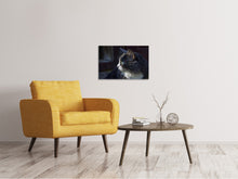 Load image into Gallery viewer, Canvas print Cat&#39;s head XL
