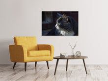 Load image into Gallery viewer, Canvas print Cat&#39;s head XL
