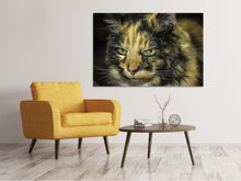 Load image into Gallery viewer, Canvas print Attention cat
