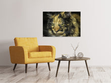 Load image into Gallery viewer, Canvas print Attention cat
