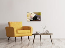 Load image into Gallery viewer, Canvas print Cuddly cat
