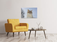 Load image into Gallery viewer, Canvas print Relaxed cat in the nature
