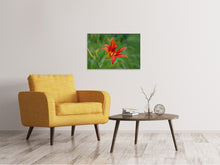 Load image into Gallery viewer, Canvas print Lily blossom in the nature
