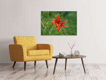 Load image into Gallery viewer, Canvas print Lily blossom in the nature
