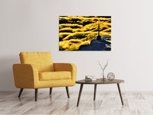 Load image into Gallery viewer, Canvas print Mountain myth
