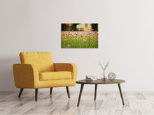 Load image into Gallery viewer, Canvas print A meadow full of flowers
