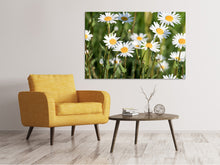 Load image into Gallery viewer, Canvas print XL daisies
