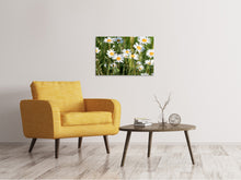 Load image into Gallery viewer, Canvas print XL daisies
