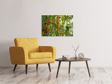 Load image into Gallery viewer, Canvas print Wild bamboo
