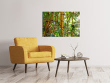 Load image into Gallery viewer, Canvas print Wild bamboo
