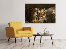 Load image into Gallery viewer, Canvas print Sibirian Tiger
