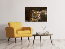 Load image into Gallery viewer, Canvas print Sibirian Tiger
