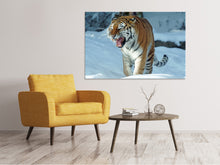 Load image into Gallery viewer, Canvas print Tiger in the snow
