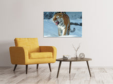 Load image into Gallery viewer, Canvas print Tiger in the snow
