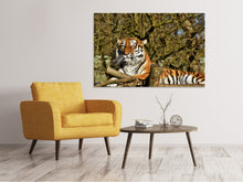Load image into Gallery viewer, Canvas print Proud Tiger
