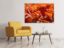 Load image into Gallery viewer, Canvas print Nice autumn leaves
