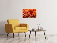 Load image into Gallery viewer, Canvas print Nice autumn leaves
