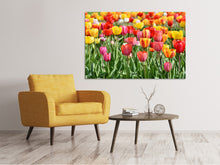 Load image into Gallery viewer, Canvas print A colorful tulip field
