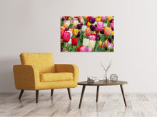 Load image into Gallery viewer, Canvas print The colors of the tulips
