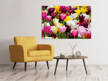 Load image into Gallery viewer, Canvas print Colorful tulip field
