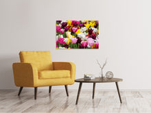 Load image into Gallery viewer, Canvas print Colorful tulip field
