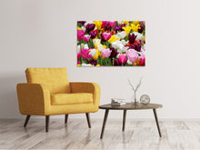 Load image into Gallery viewer, Canvas print Colorful tulip field

