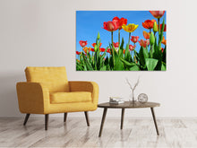 Load image into Gallery viewer, Canvas print Wild tulips
