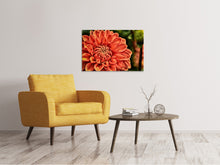 Load image into Gallery viewer, Canvas print Painting of a dahlia
