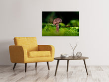 Load image into Gallery viewer, Canvas print Strobilomyces strobilaceus
