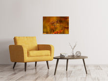 Load image into Gallery viewer, Canvas print seeds
