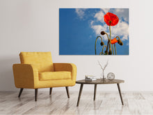 Load image into Gallery viewer, Canvas print Gorgeous poppy
