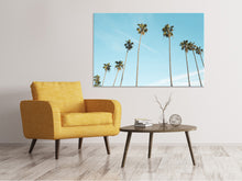 Load image into Gallery viewer, Canvas print A sky full of palm trees
