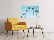 Load image into Gallery viewer, Canvas print A sky full of palm trees
