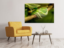 Load image into Gallery viewer, Canvas print Green snake
