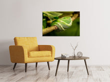 Load image into Gallery viewer, Canvas print Green snake
