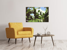 Load image into Gallery viewer, Canvas print In the middle of the jungle

