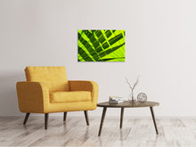 Load image into Gallery viewer, Canvas print The palm leaf in XL

