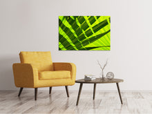 Load image into Gallery viewer, Canvas print The palm leaf in XL
