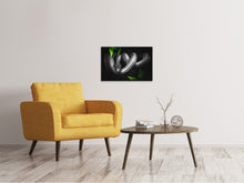 Load image into Gallery viewer, Canvas print Attention snake

