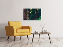 Load image into Gallery viewer, Canvas print The lizard
